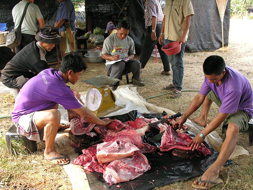 Akha Jubilee 2012