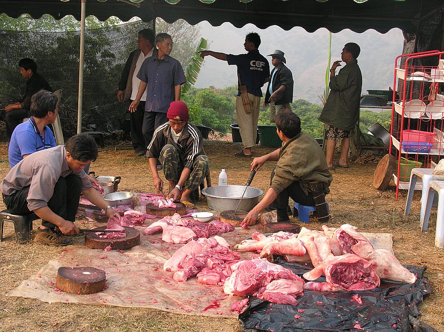 Akha Jubilee 2012