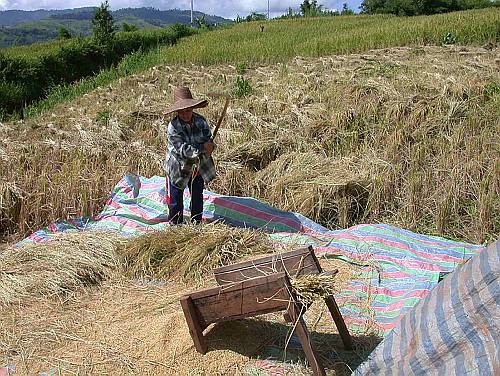 Lifestyle of the Akha people /Lebensstil der Akha
