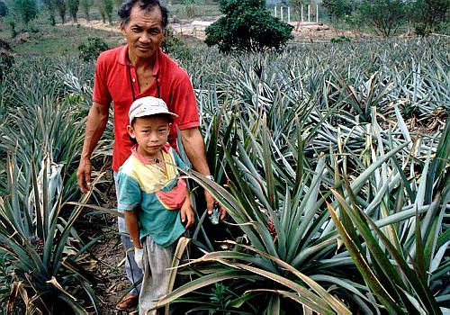 Lifestyle of the Akha people /Lebensstil der Akha