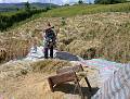 Agriculture / Landwirtschaft